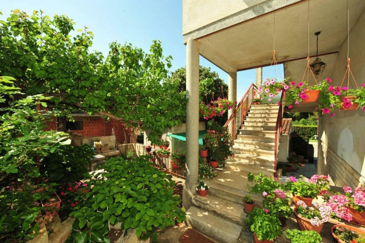 Apartment Patricia Rovinj Exterior photo